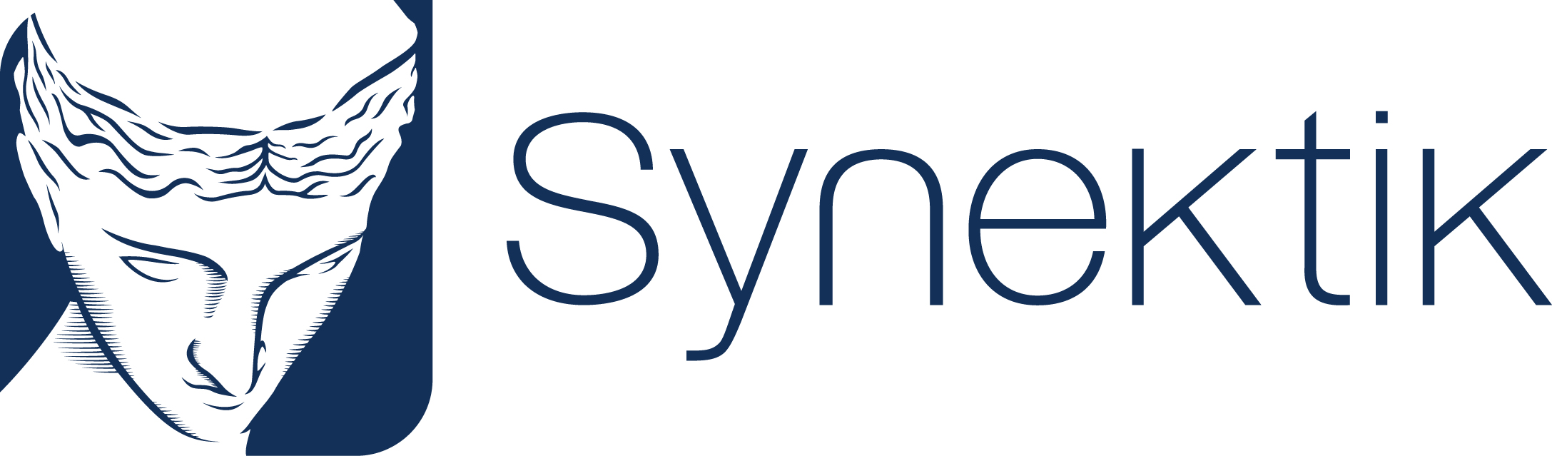 Logo Synektik poziom RGB